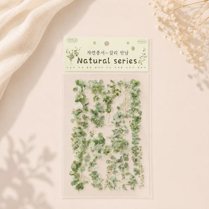 Natural Series Botanical Sticker Sheets – Pressed Flower & Plant Collection (Random Color)