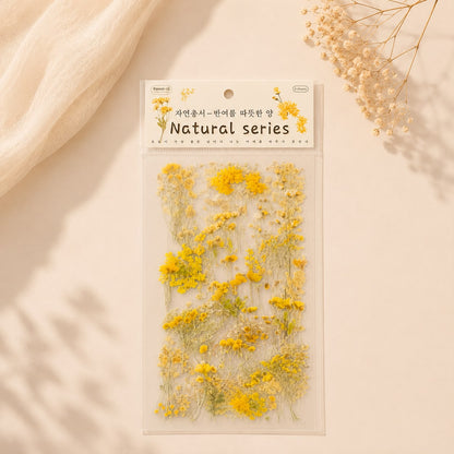 Natural Series Botanical Sticker Sheets – Pressed Flower & Plant Collection (Random Color)